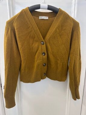 Everlane Cashmere Cardigan in Tapenade